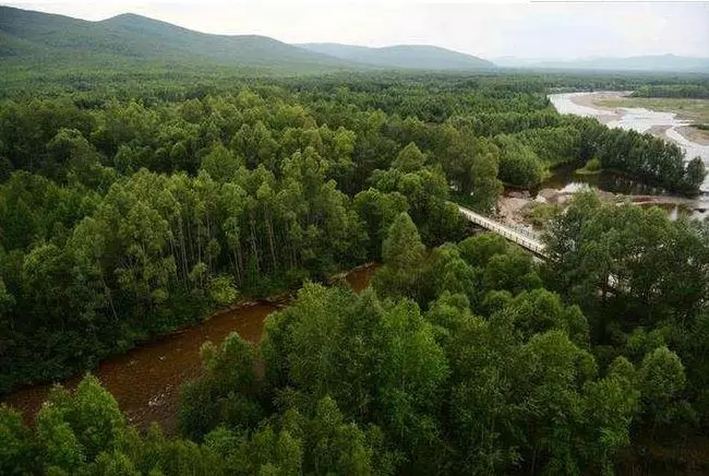 俄罗斯原始森林有多大图片