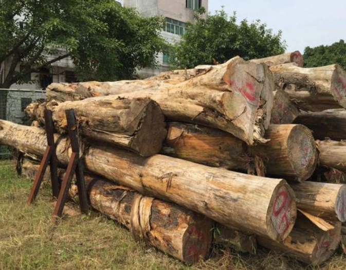 【木材百科】加拿大香柏木是一种什么样的木材?