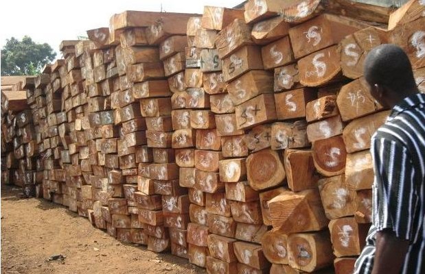 木材工业正在成为加蓬重要的部门产业